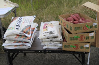 �����E���^�@