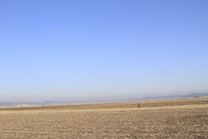 �����E���ۋ�