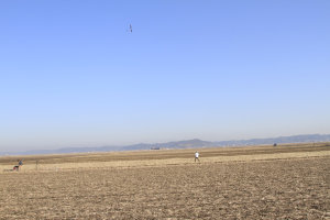 �����E���ۋ�