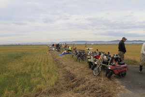 �Q�O�Q�T�N�x�E���{�I�茠