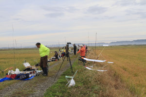 �Q�O�Q�T�N�x�E���{�I�茠