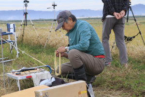 �Q�O�Q�T�N�x�E���{�I�茠