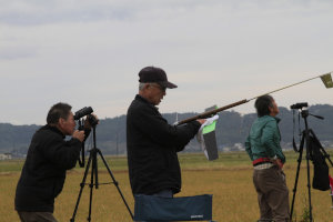 �Q�O�Q�T�N�x�E���{�I�茠