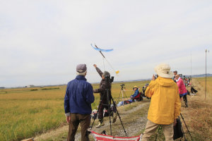 �Q�O�Q�T�N�x�E���{�I�茠