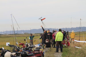 �Q�O�Q�T�N�x�E���{�I�茠