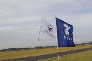 �Q�O�Q�T�N�x�E���{�I�茠