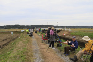 �Q�O�Q�T�N�x�E���{�I�茠