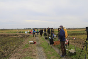 �Q�O�Q�T�N�x�E���{�I�茠