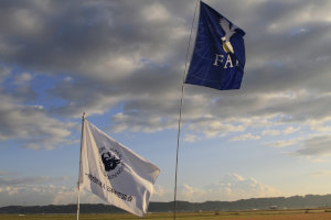 �Q�O�Q�T�N�x�E���{�I�茠