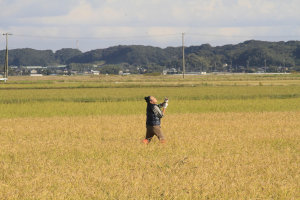 �Q�O�Q�T�N�x�E���{�I�茠