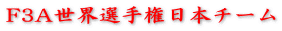 F3A世界選手権日本チーム