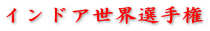 インドア世界選手権